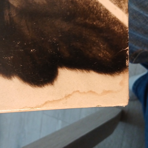 Joni Mitchell Vinyl Album HEJIRA - Picture 4 of 10